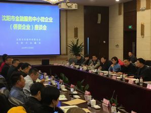 沈阳市金融服务中小微企业（侨资企业）座谈会